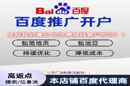 百度竞价广告在旅游行业的营销策略及效果